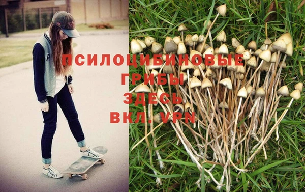 мет Абаза