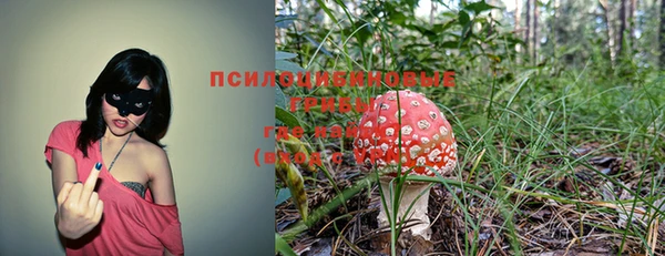 PSILOCYBIN Алексин