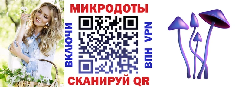 мега маркетплейс  Жердевка  Псилоцибиновые грибы ЛСД 